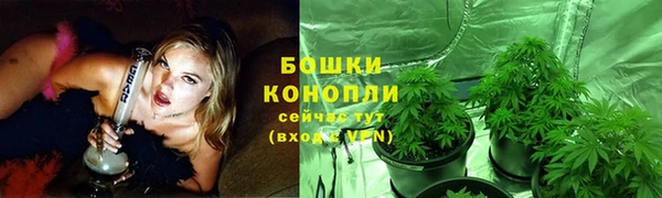гидра Волосово
