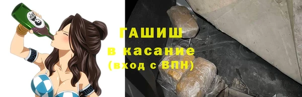 спиды Вяземский
