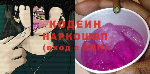 спиды Вяземский
