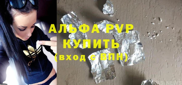 спиды Вяземский