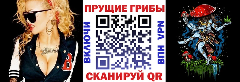 hydra Нея Псилоцибиновые грибы Psilocybe